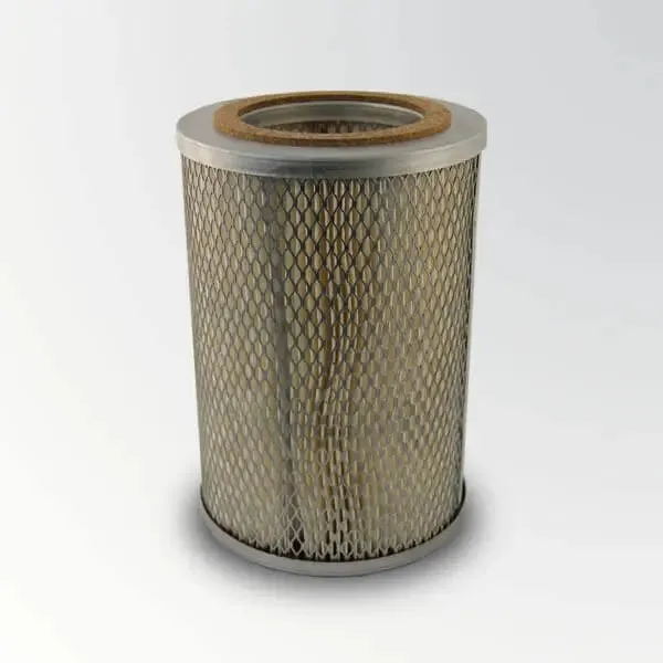 AXYZ - 70046 Busch Paper Inlet Filter