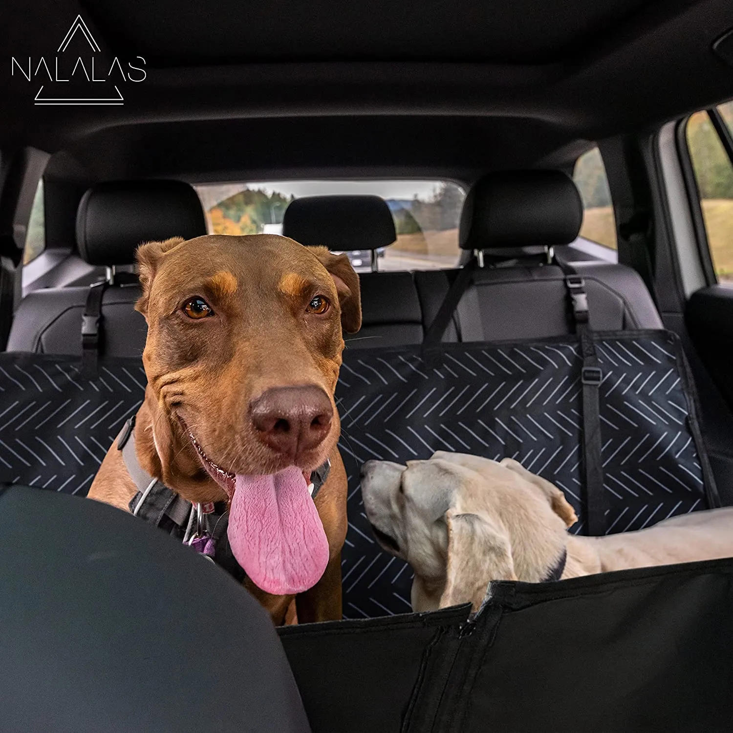 Dog Car Seat Covers