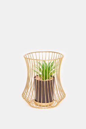 Gold Decorative Succulent Plant With Metal Case