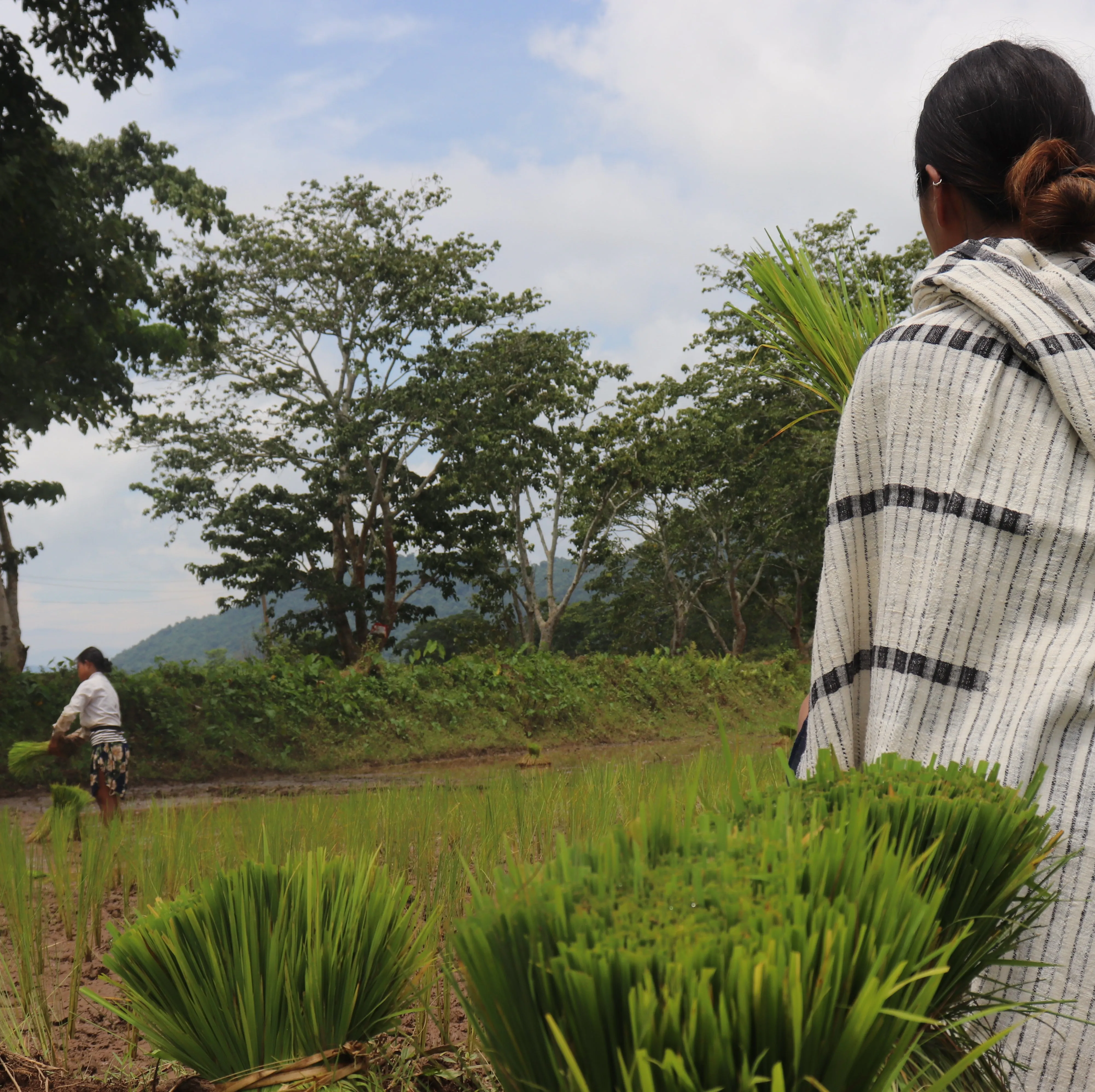 India, 7Weaves, Weaving